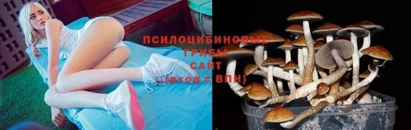 jwh Алзамай