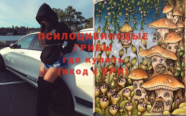 jwh Алзамай