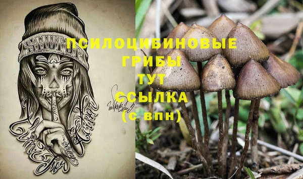 мяу мяу кристалл Алексин